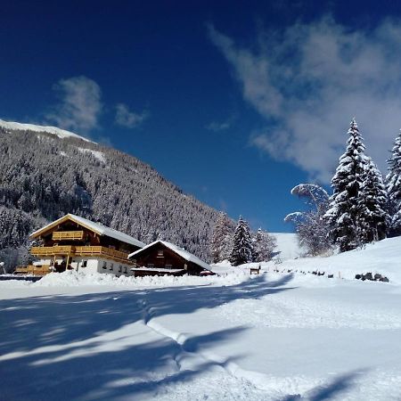 Bed & Breakfast Dolomiti Bey Haus Pinter Assling エクステリア 写真