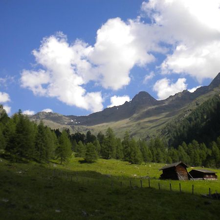 Bed & Breakfast Dolomiti Bey Haus Pinter Assling エクステリア 写真