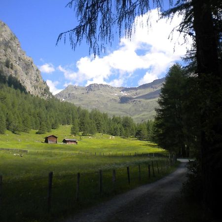 Bed & Breakfast Dolomiti Bey Haus Pinter Assling エクステリア 写真