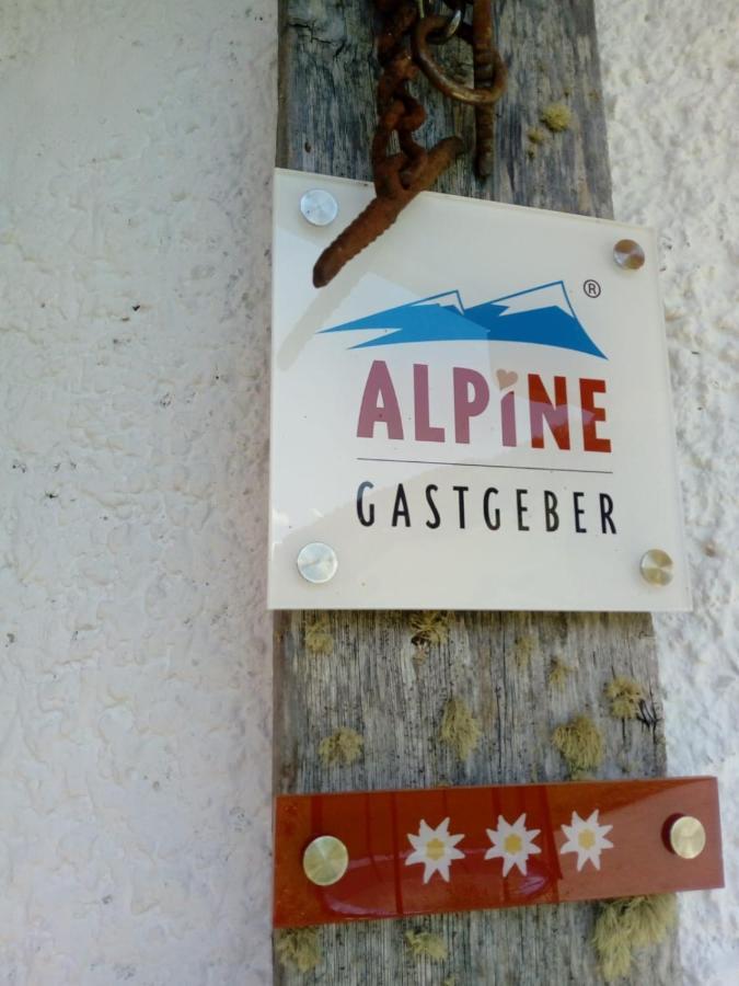 Bed & Breakfast Dolomiti Bey Haus Pinter Assling エクステリア 写真
