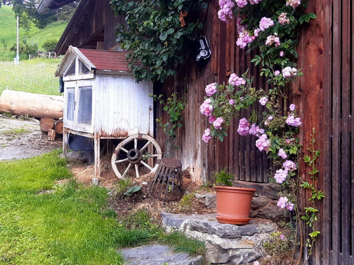 Bed & Breakfast Dolomiti Bey Haus Pinter Assling エクステリア 写真