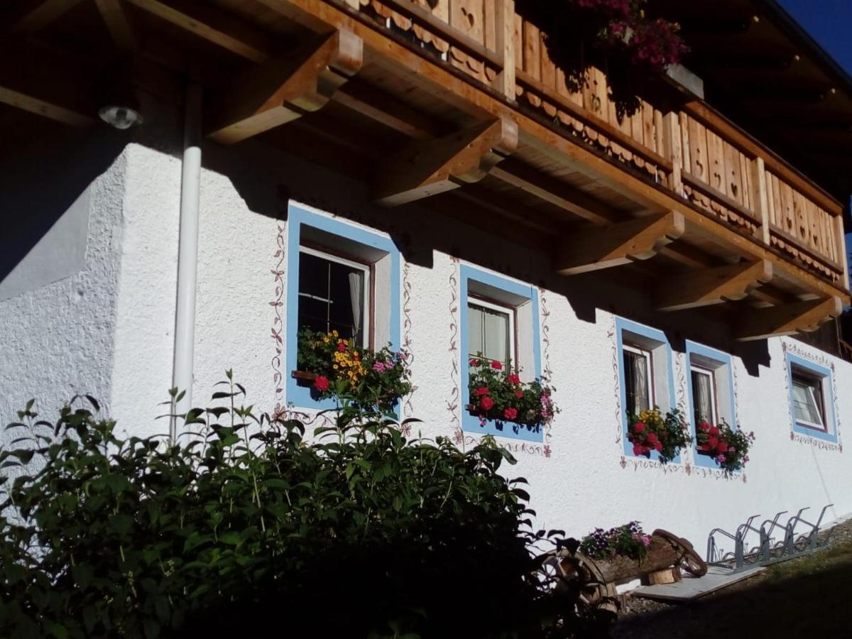 Bed & Breakfast Dolomiti Bey Haus Pinter Assling エクステリア 写真