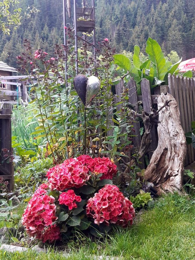 Bed & Breakfast Dolomiti Bey Haus Pinter Assling エクステリア 写真
