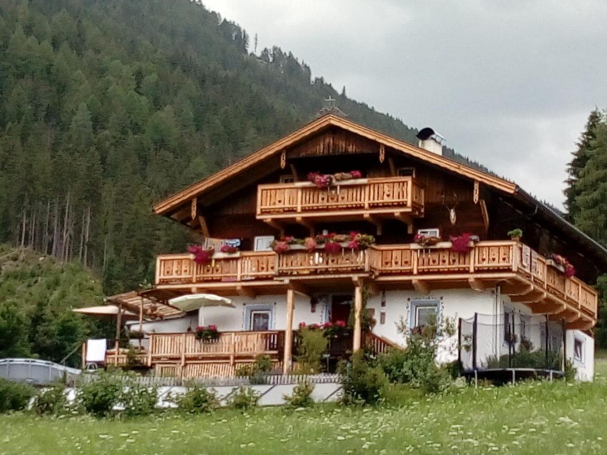 Bed & Breakfast Dolomiti Bey Haus Pinter Assling エクステリア 写真