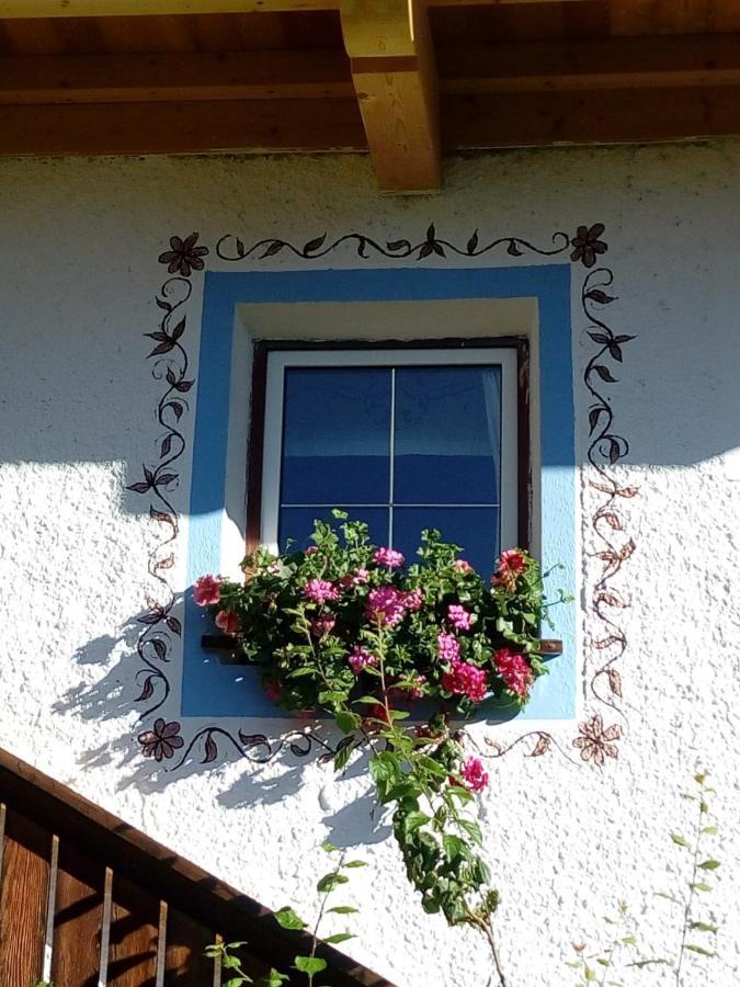 Bed & Breakfast Dolomiti Bey Haus Pinter Assling エクステリア 写真