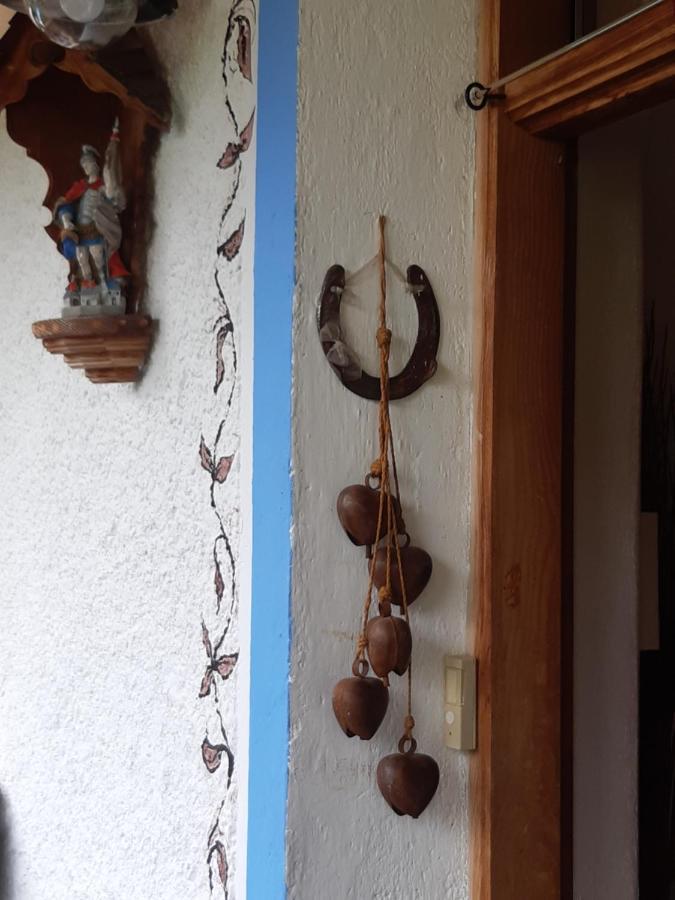 Bed & Breakfast Dolomiti Bey Haus Pinter Assling エクステリア 写真