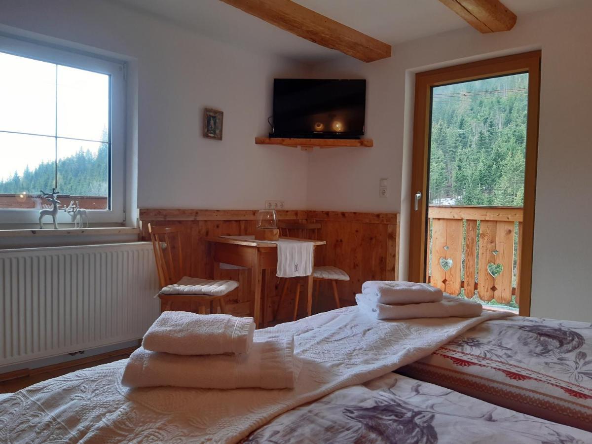 Bed & Breakfast Dolomiti Bey Haus Pinter Assling エクステリア 写真