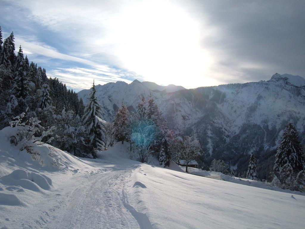 Bed & Breakfast Dolomiti Bey Haus Pinter Assling エクステリア 写真