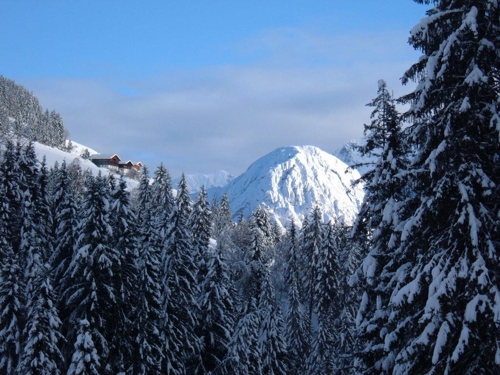 Bed & Breakfast Dolomiti Bey Haus Pinter Assling エクステリア 写真