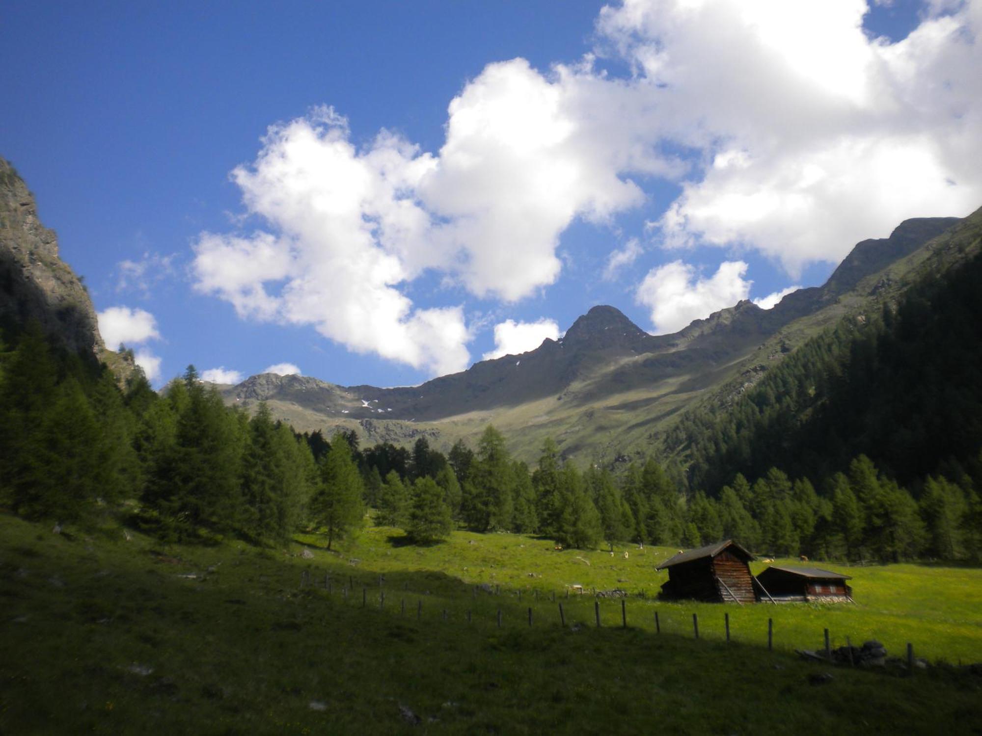 Bed & Breakfast Dolomiti Bey Haus Pinter Assling エクステリア 写真