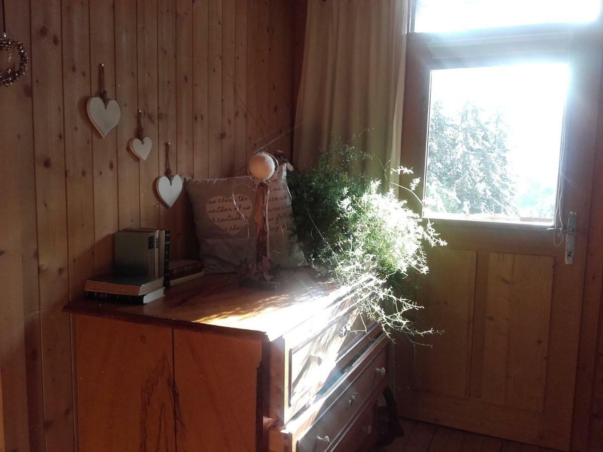 Bed & Breakfast Dolomiti Bey Haus Pinter Assling エクステリア 写真