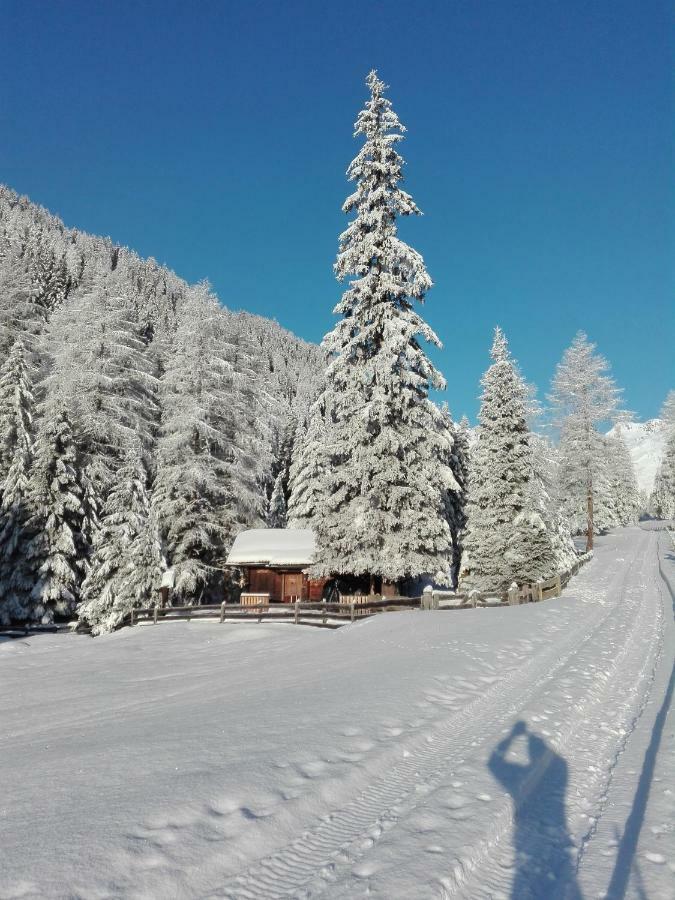 Bed & Breakfast Dolomiti Bey Haus Pinter Assling エクステリア 写真